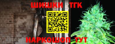 гашик Гусев