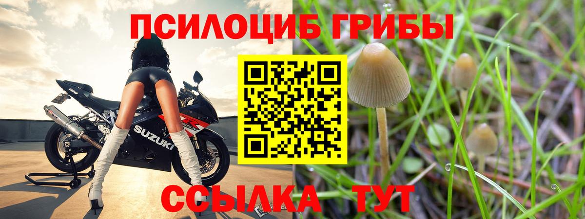 Псилоцибиновые грибы прущие грибы Муром
